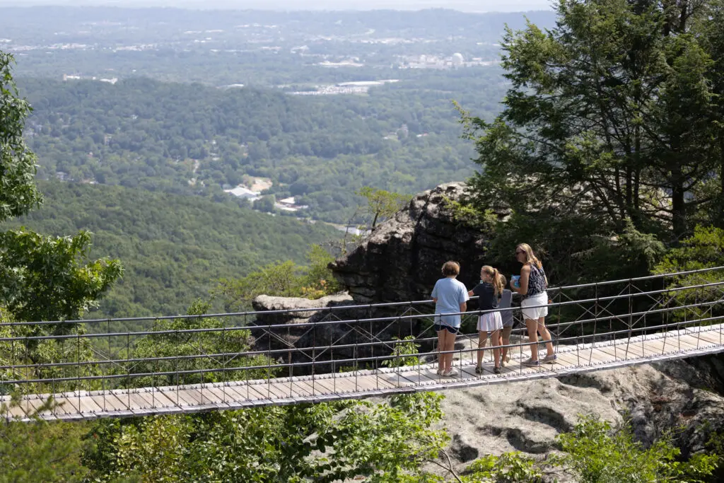 Exploring Georgian Culture: Festivals You Should Plan Your Trip Around