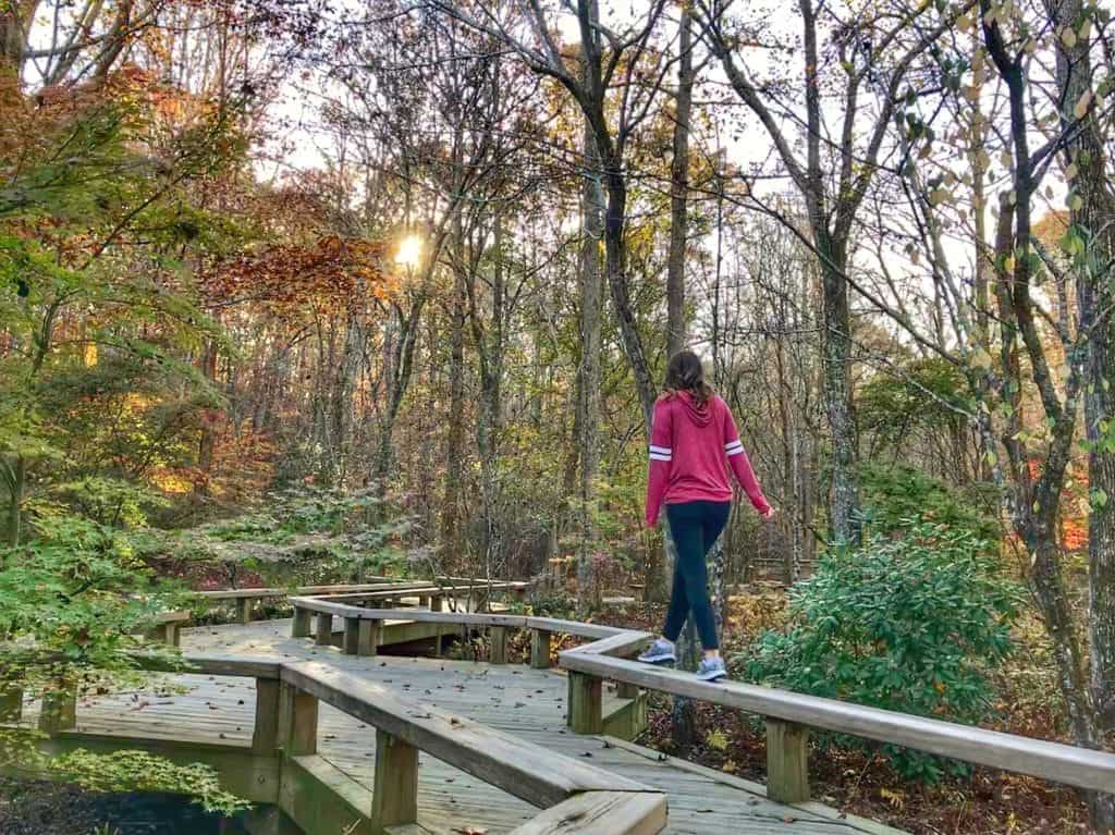 Solo Travel in Georgia: Safety Tips and Itineraries for First-Timers