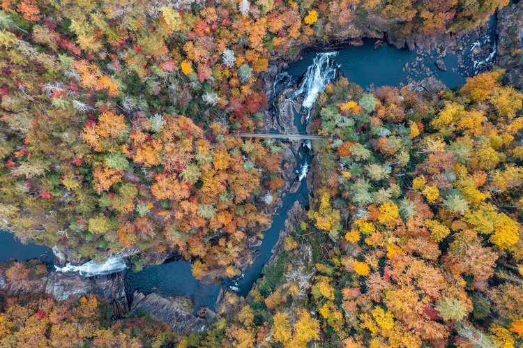 Top Hidden Gems in Georgia Off the Tourist Trail